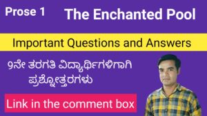 The Enchanted Pool questions and answers