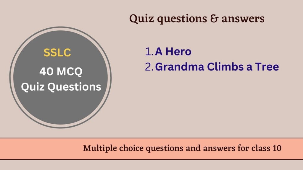 Quiz on A Hero and Grandma Climbs a Tree