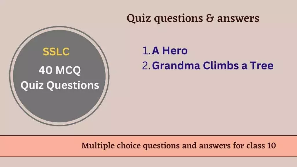 Quiz on A Hero and Grandma Climbs a Tree